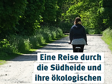 Nachhaltigkeit im Fokus