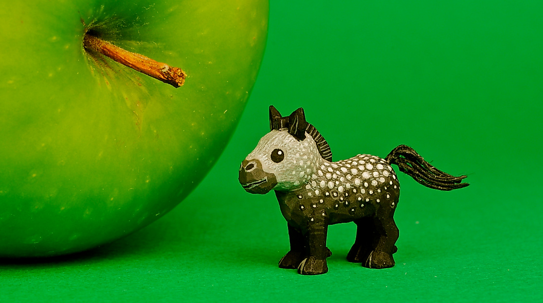 Der Holzschnitzer Steve Tomashek hat viele Fans und verzaubert mit winzigen Tierfiguren wie dem „Apfelschimmel“ sein Publikum.