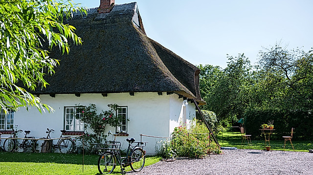 OstseeFerienland Fahrradwoche: Gruber Fahrradtour – Natur, Kultur und Ostseegenuss