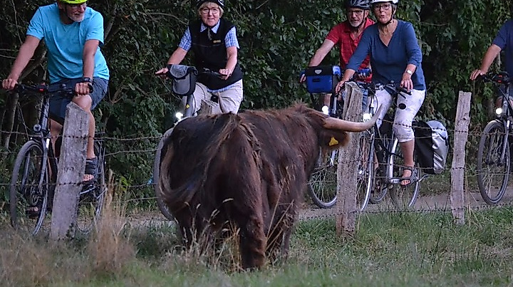 Neumünster per Rad entdecken Tour 1
