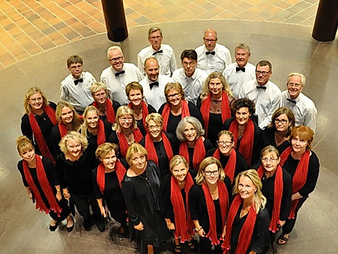 Chorus Pictor