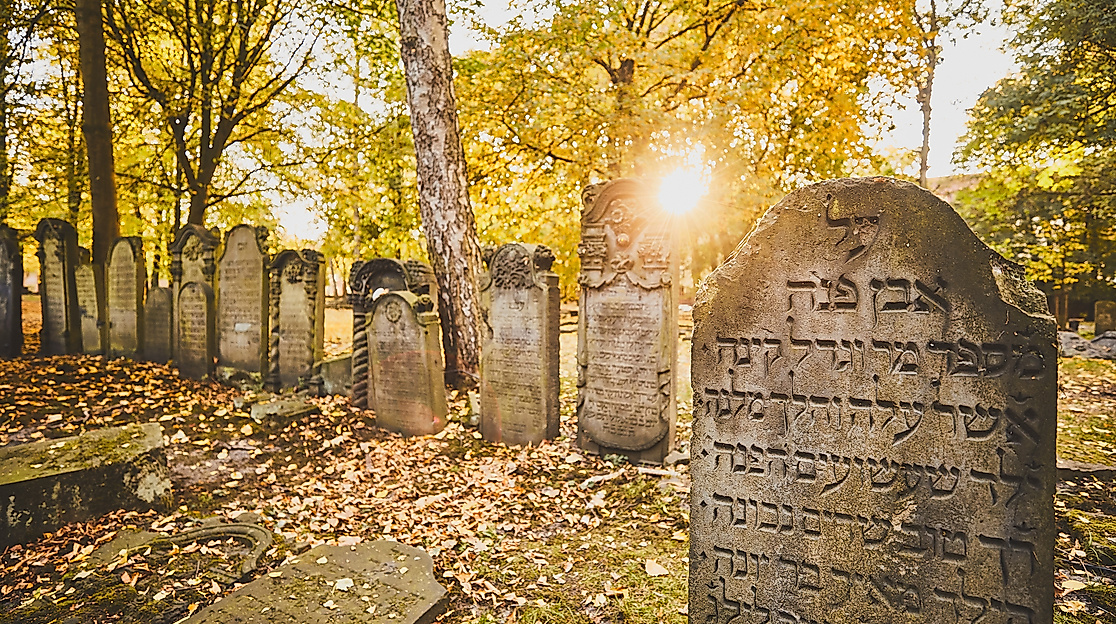 juedischer-friedhof-altona_c-2018-thisisjulia-photography-1