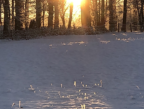 2024_12_24 Töns5 Weihnachten