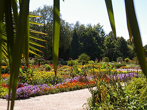 Botanischer Sondergarten Wandsbek - Gewächshaus