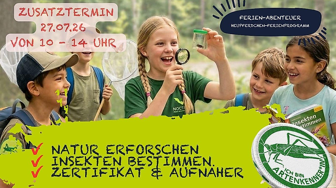 Heupferdchen