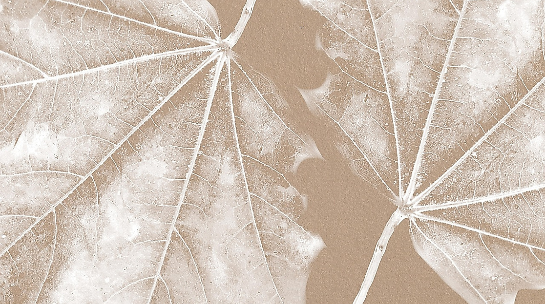 Fantastisches Waldwesen stempeln