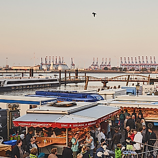 Sonntagmorgen zum Fischmarkt