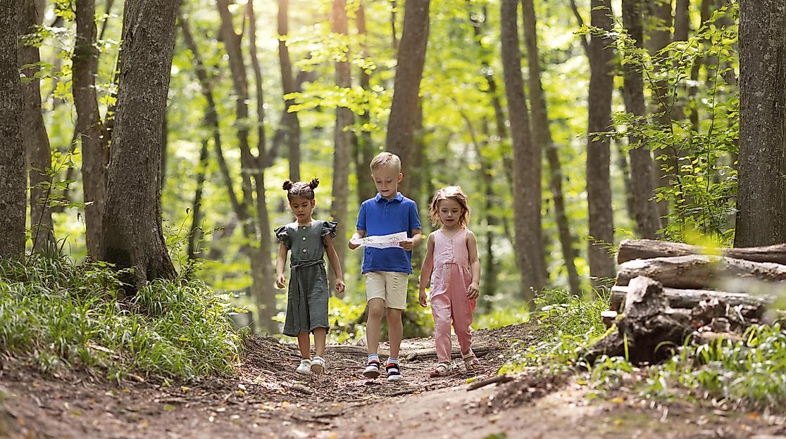 Neugierige Kinder bei einer Schatzsuche