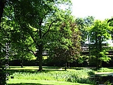 Rundgang: Kellinghusenpark