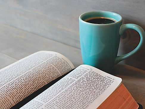 Bibel feministisch gelesen - Online-Bibelwerkstatt