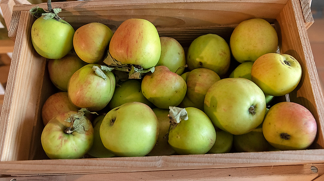 Apfel-Fest Lüneburger Streuobstwiesen e.V.