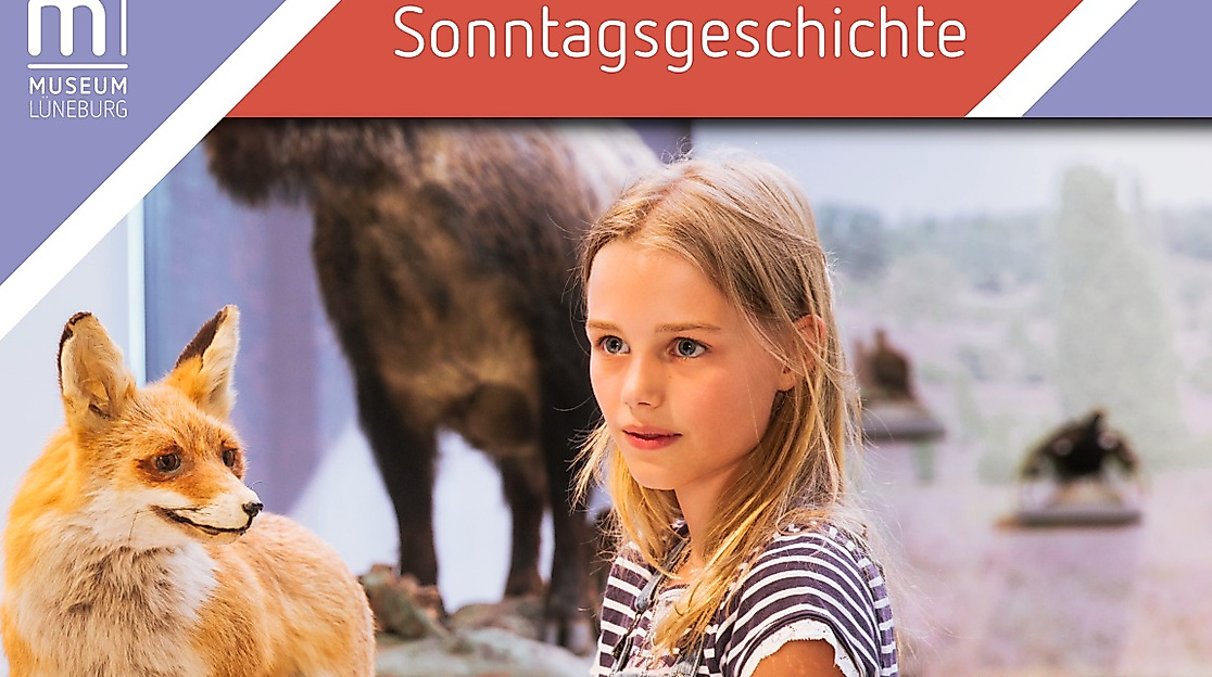 Sonntagsgeschichte Museum Lüneburg 01032026 Mensch-Umwelt-Beziehungen