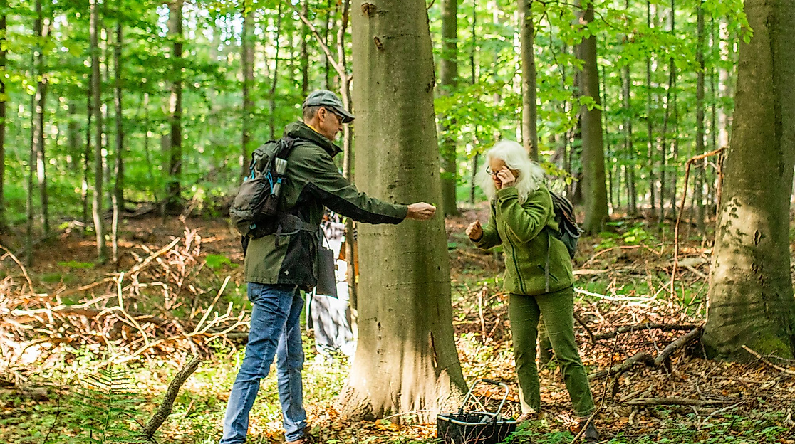 Kräuterspaziergang an der Ostsee