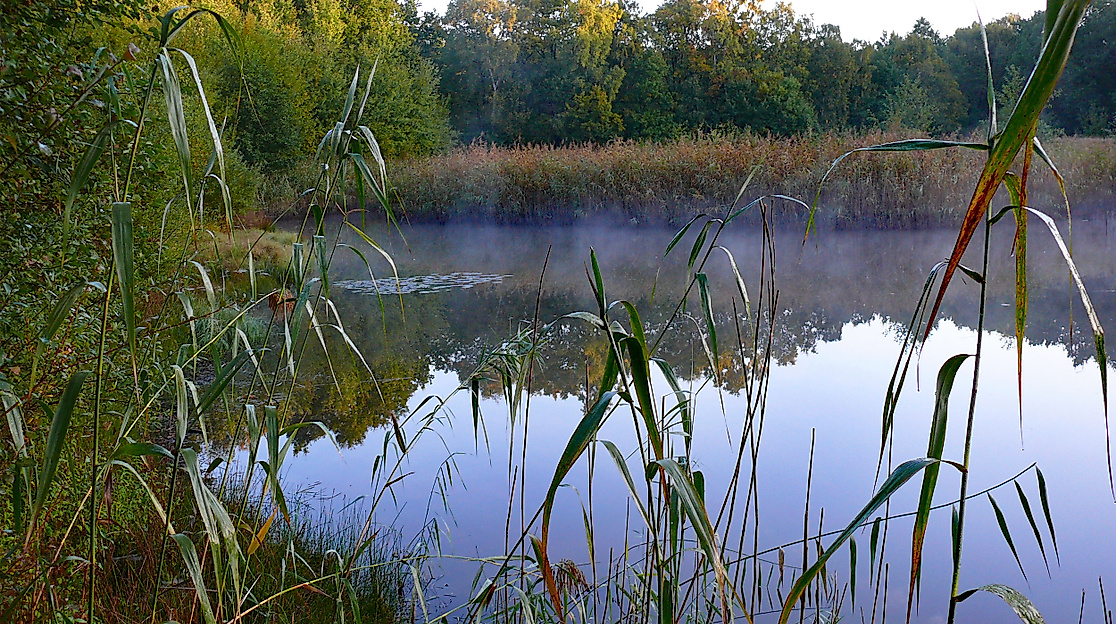 Ausflug ins Naturschutzgebiet Rothsteinsmoor