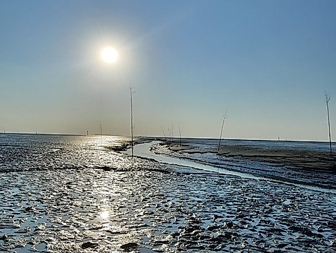 Kurs Halten fürs Wattenmeer - Wremen: Seezeichen und Fischerei im Watt entdecken (empfohlen ab 10 Jahren)