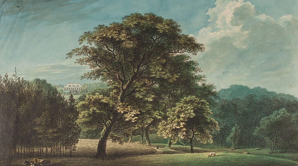 Foto-Workshop: Der Park