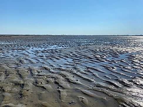 Online (VHS Langenhagen): UNESCO-Weltnaturerbe Wattenmeer - Eine Geschichte für sich