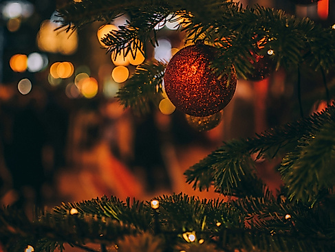 Weihnachtsbaum