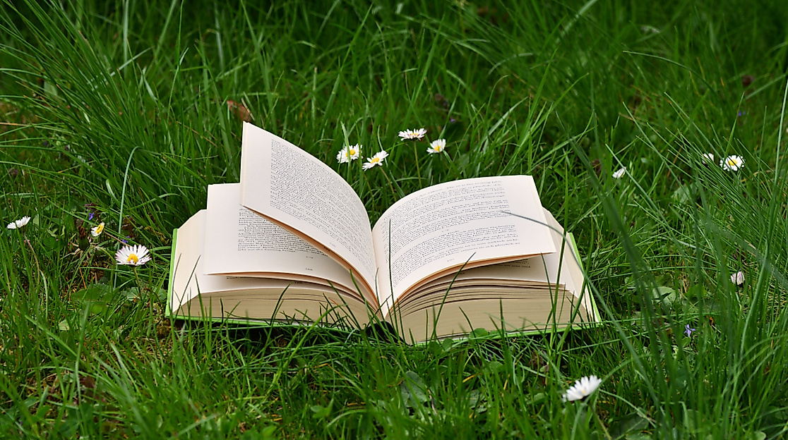 Offenes Buch auf einer Wiese