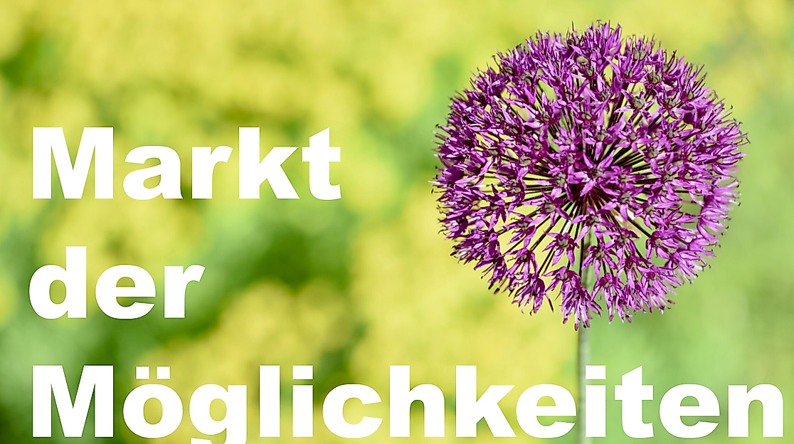 Markt der Möglichkeiten
