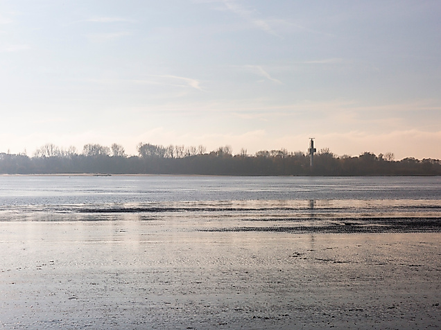 elbinsel-schweinestrand_blankenese-elbvororte_c-2018-timo-sommer-lee-maas