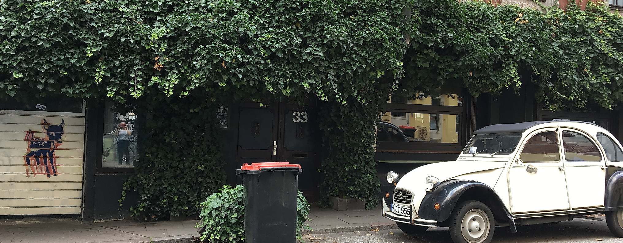 bambi_kino_c-anna_lidle-1