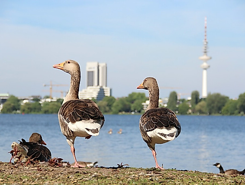 termin_15.11.26_IMG_5751_VORTRAG