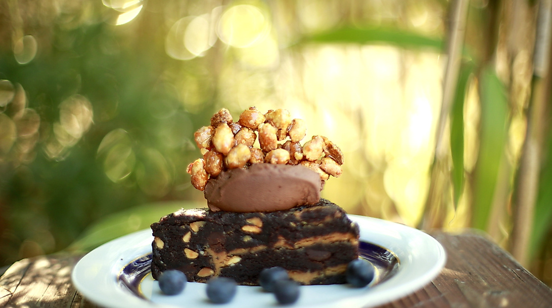 the-vegan-eagle_c-hannah-elser-3