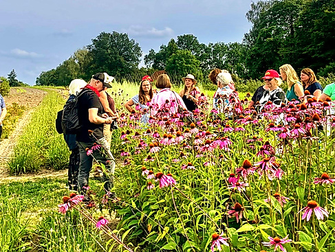 Heilpflanzen-Seminar