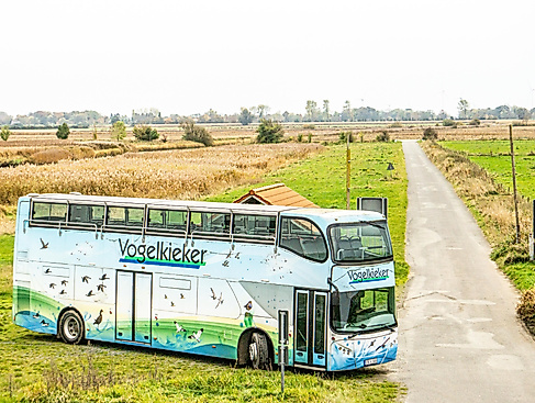 Vogelkieker März - Oktober