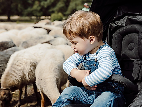 Kinder erleben: Bauernhof zum Anfassen