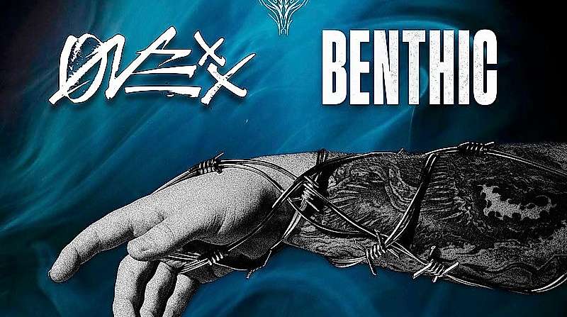 Private Paul, Onexx, Benthic