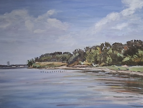 Das Naturschutzgebiet Am Holm bietet Vögeln einen Rast- und Brutplatz in Neustadt.