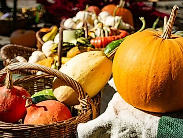 Erntedank-Gottesdienst auf dem Markt mit Pastorin Inga Meißner und Pröpstin Petra Kallies