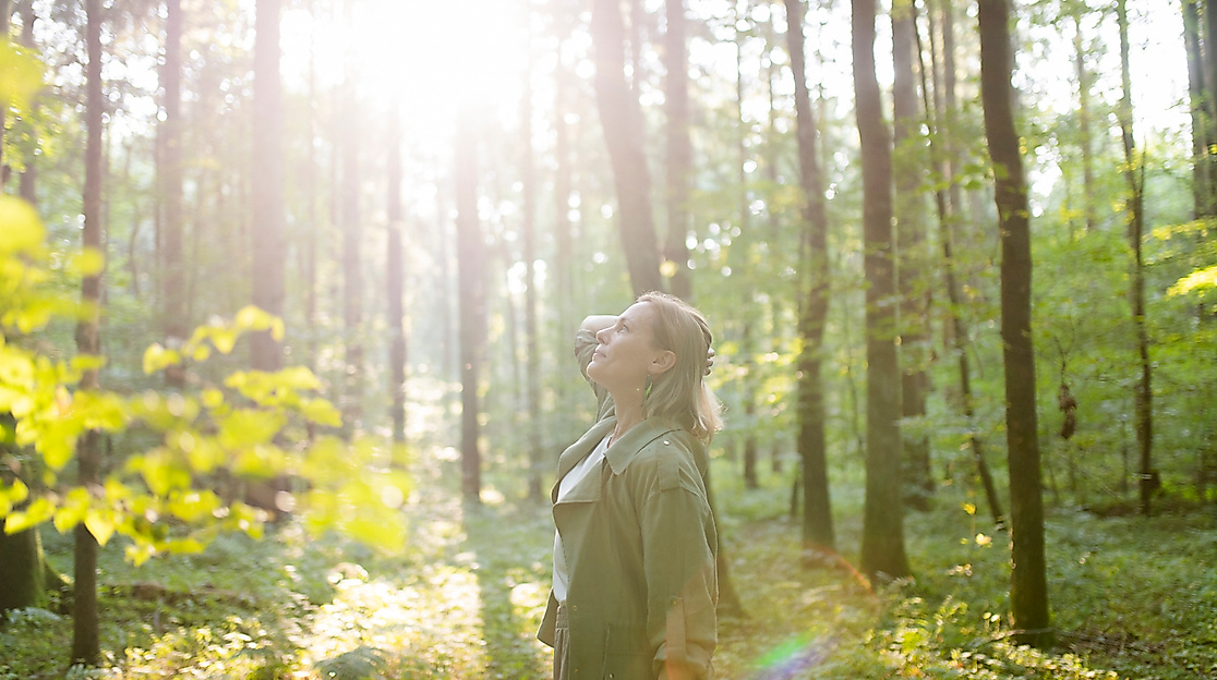 Den Wald beim Waldbaden mit allen Sinenn genießen und entspannen
