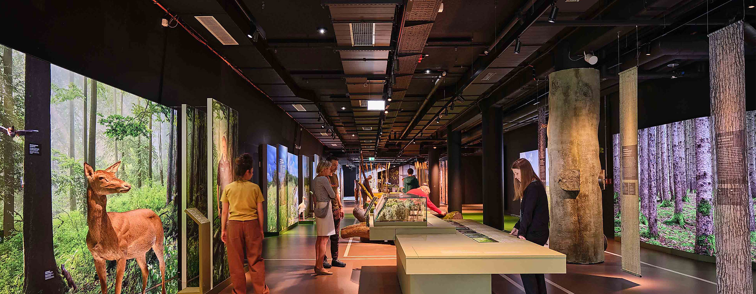 Ausstellung Botschaft der Wildtiere