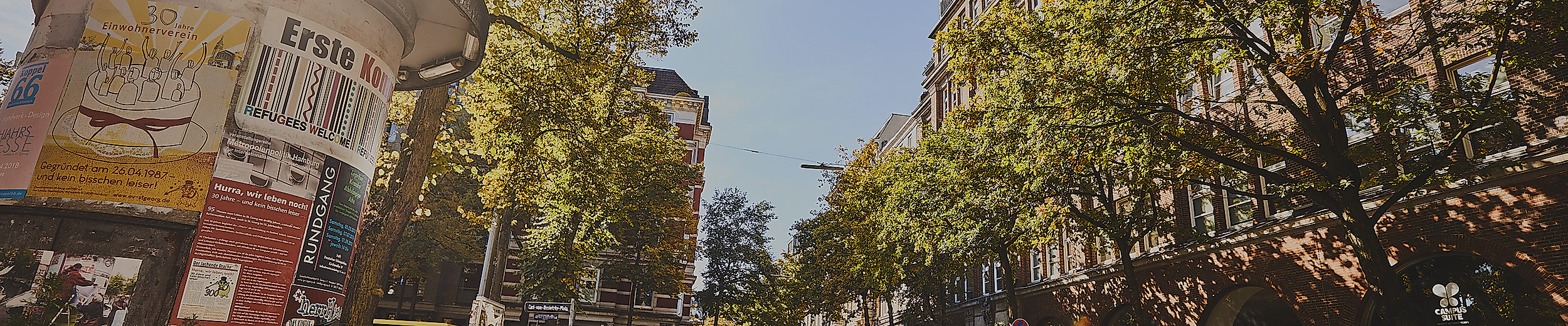 Belebte Lange Reihe in Hamburg-St. Georg bei Sonnenschein, mit Straßencafés, Passant:innen und herbstlichen Bäumen