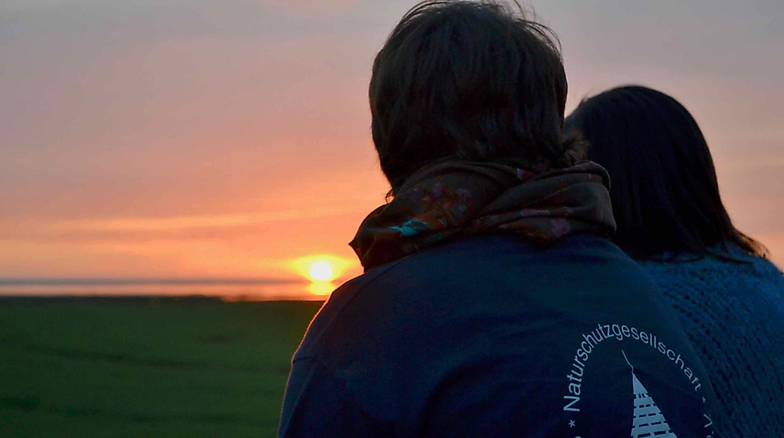 Im Dunkeln am Deich - Abendwanderung mit allen Sinnen