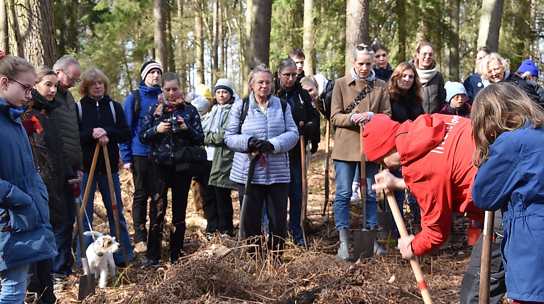 Vor der Pflanzung wird es eine Einführung geben!