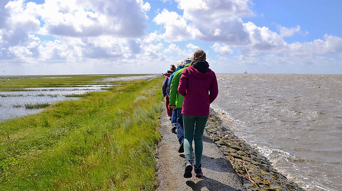 Auf dem Trischendamm durch das Weltnaturerbe Wattenmeer