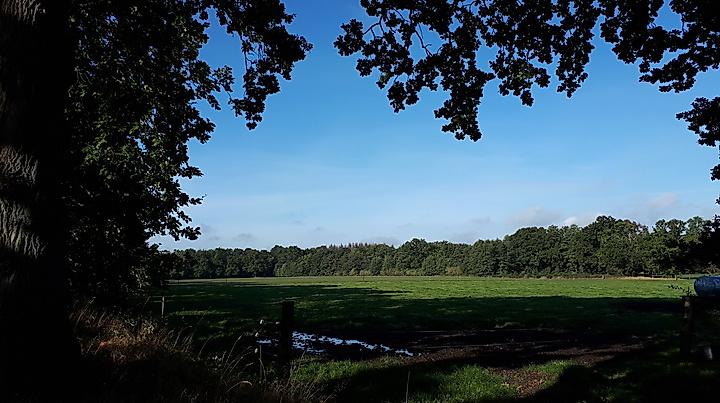 Zum Lütjensee