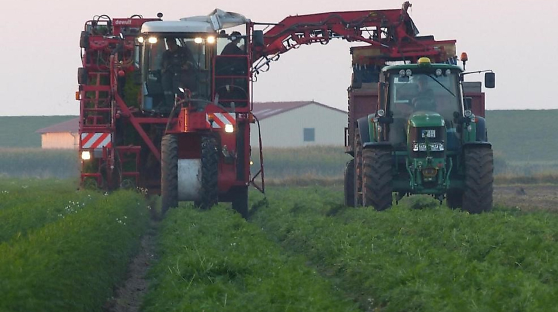 Zukunft der Landwirtschaft
