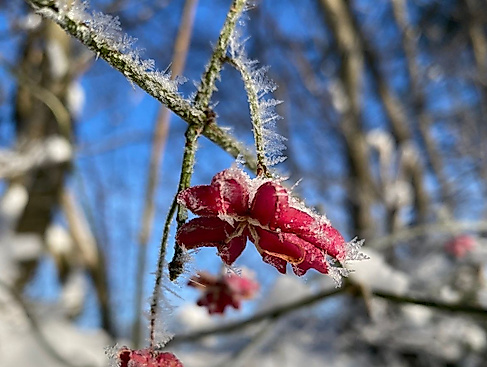 signal-2023-12-05-104908_002