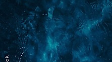Ocean Wonders