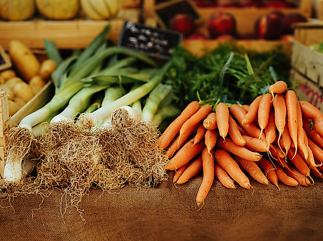 peter-wendt-r5ksmkyosc-unsplash