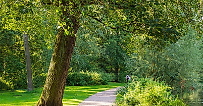 Stadtpark Hamburg