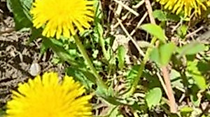 kleine-grueenzeugtour_bild_christa_hein-alex