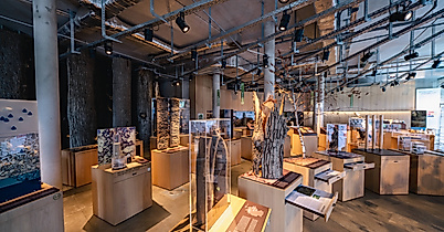 Science Center im Wälderhaus