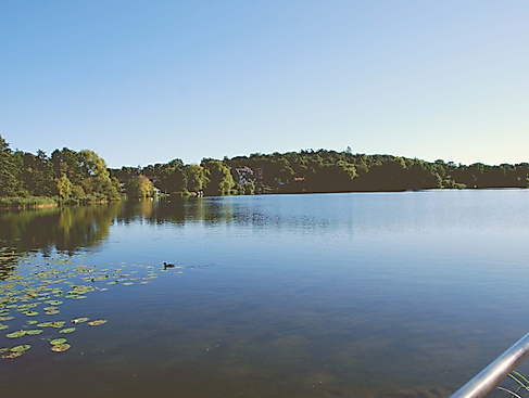 Picknick "Malente macht blau"