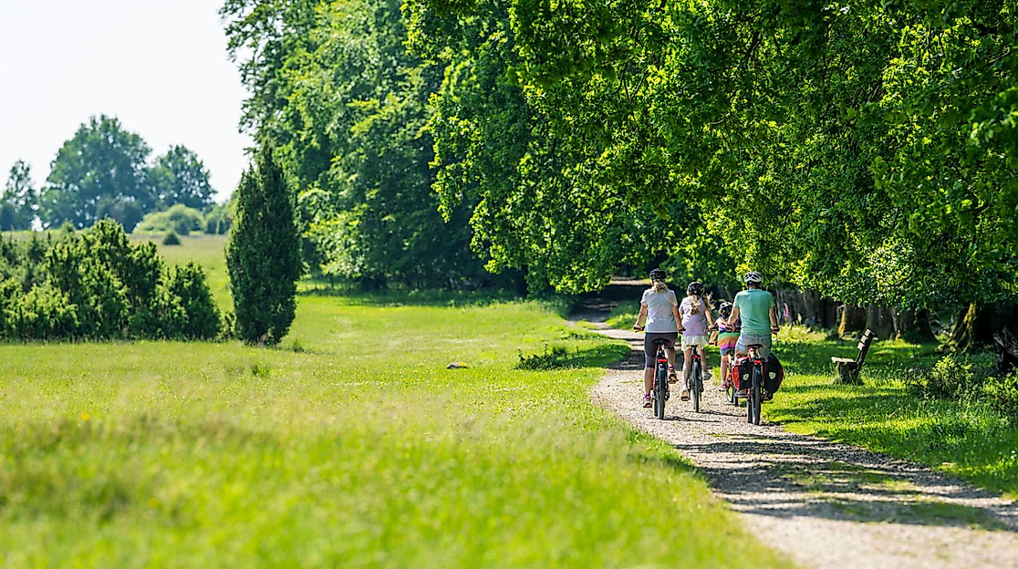Geführte Radtouren durch die Lüneburger Heide buchen
